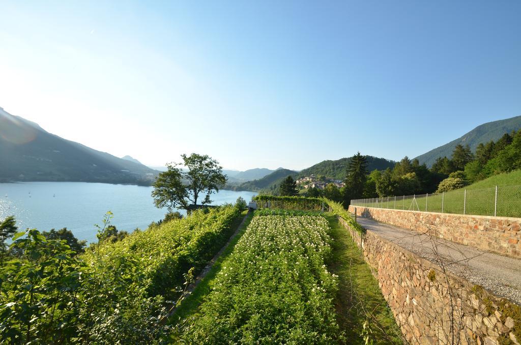 Trentino Appartamenti Oss Tenna エクステリア 写真