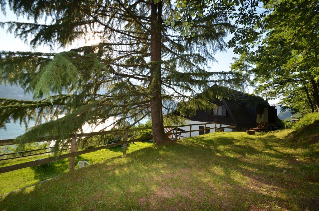 Trentino Appartamenti Oss Tenna エクステリア 写真